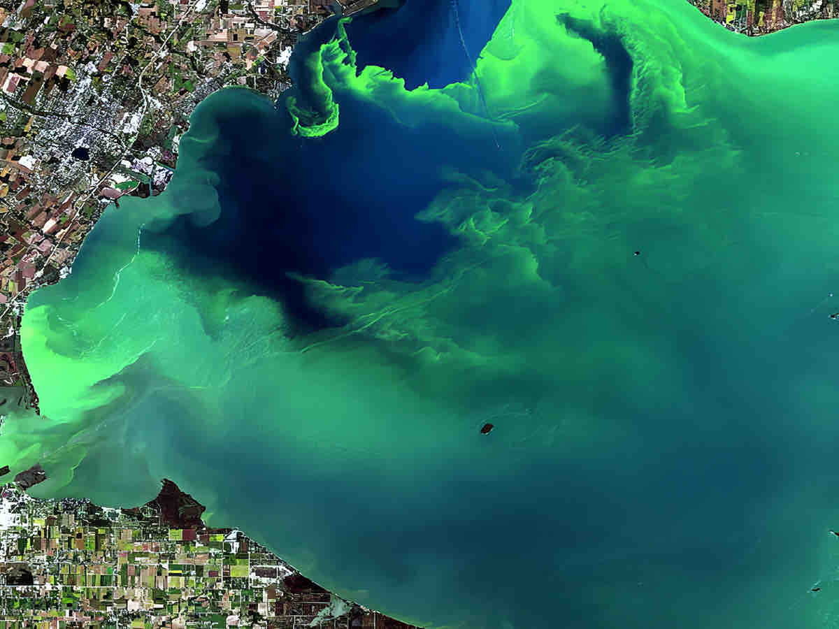 Harmful Algal Blooms are Worsening Globally