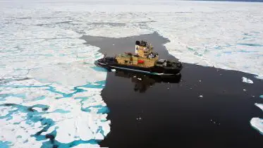 Warning: Arctic’s “Last Ice Area” Faces Meltdown