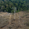 New data show 10% increase in primary tropical forest loss in 2022