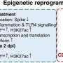 Novel drug could treat long COVID and prevent re-infection