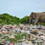 Jumbo problem: Sri Lanka’s battle with plastic pollution