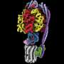 Molecular insights may inform new treatments for drug-resistant tuberculosis