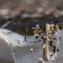 ‘Time bomb’?: Race to identify health effects of microplastics