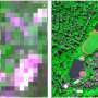 ‘Shoebox’ satellites help scientists understand trees and global warming