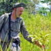 Nursing oil palm plantations back to nature in Malaysian Borneo