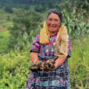 Agroecology schools help communities restore degraded land in Guatemala