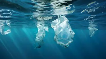 World-First Study Reveals That There Is up to 100x More Plastic on the Ocean Floor Than the Surface