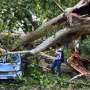 Storm brings down trees in Milan as fire closes Sicily airport