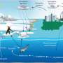 Alarmingly high PFAS levels found in the populations of Greenland, the Faroe Islands, Denmark and the UK