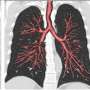 Early life lung development has an impact on the risk of premature death, study suggests