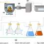 Building a high-performance electrochemical sensor using activated biochar from pineapple peel waste