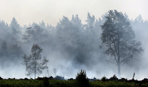 ‘Zombie fires’ in the Arctic: Canada’s extreme wildfire season offers a glimpse of new risks in a warmer, drier future