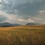 Bud bank confers post-drought recovery across grasslands