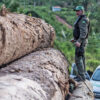 Study confirms surge in deforestation in Indigenous lands under Bolsonaro