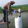 In search of rice to reduce methane emissions