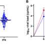 International trial shows that interferon could help reduce the spread of COVID-19