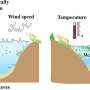 Linking the mechanics of lake heat waves and potentially poisonous blooms