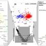 New markers could help predict how severely individuals will react to COVID-19