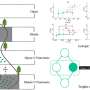 Nutrient enrichment with open canopy decreases trophic redundancy in stream food webs