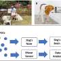 Scent dogs can detect COVID-19 more rapidly and accurately than current tests, finds review study