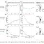 Study: An inverse model for food webs and ecosystem stability