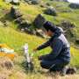 Team investigates how warming affects uptake and release of carbon dioxide in subarctic grassland