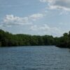 Study shows how to maximize mangroves as climate and community solution