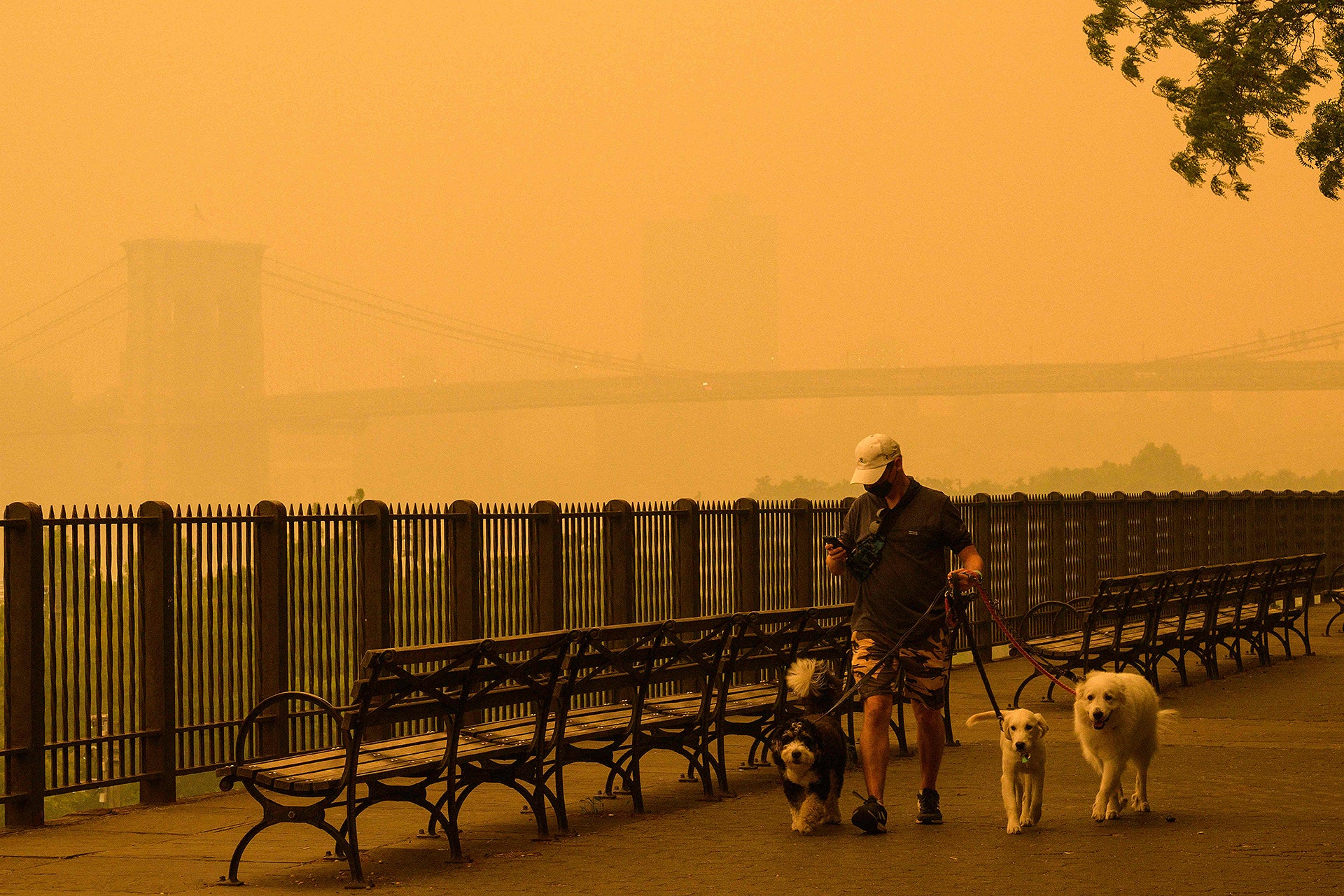 Americans Have Breathed More Wildfire Smoke in Eight Months Than in Entire Years