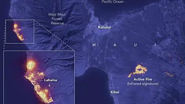 Wildfire Wreaks Havoc in Lahaina, Maui: A Satellite’s View of Devastation