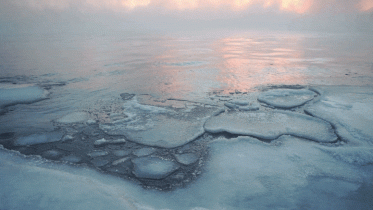 10-Year Countdown: Climate Change Could Cause Arctic Sea Ice To Vanish by 2030s