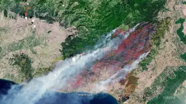 Scorched Earth: Wildfires Continue To Rage in Greece