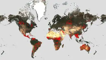 Global Wildfires Surge: A Comprehensive Analysis Through ESA’s World Fire Atlas