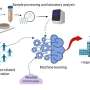 AI-based wastewater sampling predicts COVID hospital admissions