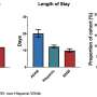 Study finds disproportionate impact of COVID-19 on American Indians