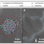 Dune patterns reveal environmental change on Earth and other planets