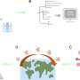 Early warning of emerging infectious diseases based on multimodal data