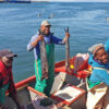 For South Africa’s small fishers, co-ops prove a necessary, but bumpy, step up