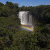 A tale of two biomes as deforestation surges in Cerrado but wanes in Amazon