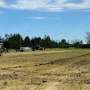 How microplastics are making their way into our farmland