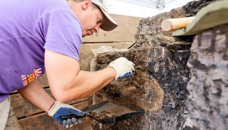 La Brea Tar Pits reveal clues to mysterious mass extinction