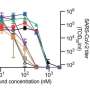 Molnupiravir administered at human effect size-equivalent dose found to block SARS-CoV-2 transmission in ferrets