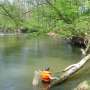 Recovery of biodiversity in rivers across Europe is slowing down, study finds