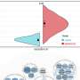 Revealing the roles of TLR7, a nucleic acid sensor for COVID-19, in pan-cancer