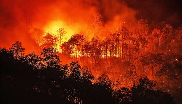 Wildfires, soil emissions increase air pollution in remote forests