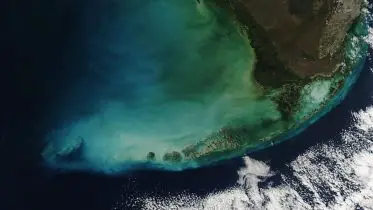 Harmful Algae Alert: NASA Tests New TROPOMI Tool for Tracking Algal Blooms
