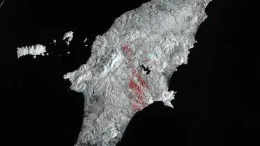 Bird’s Eye Burn Scars: Scorched Devastation on the Greek Island of Rhodes