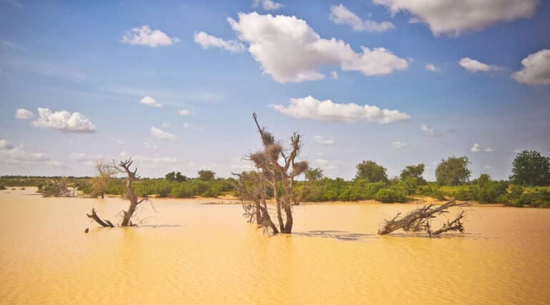 Aerosol emissions drive Atlantic hurricanes, Sahel rain