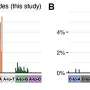 Antiviral drug molnupiravir linked to SARS-CoV-2 mutations