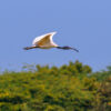 Tien Hai Nature Reserve latest battleground in Vietnam’s push for development