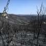 Massive Greece wildfire coming under control: govt